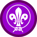 World Scout Badge